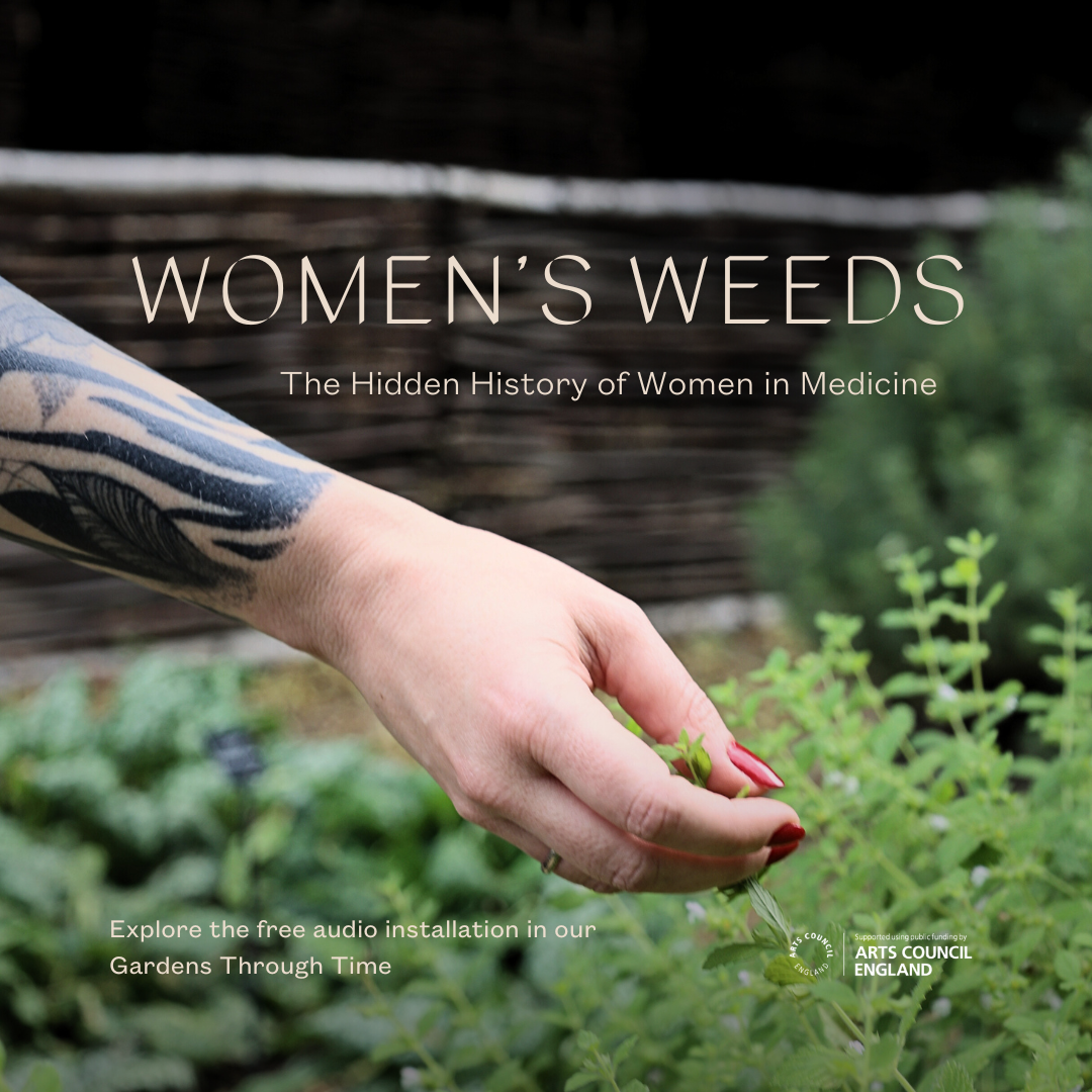 Women’S Weeds (Instagram Post (Square)