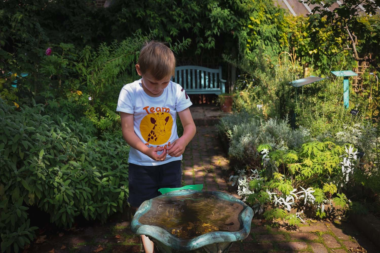 A boy in a white shirt stands near a small fountain that is not on, surrounded by lush green plants and a wooden bench in a garden setting.