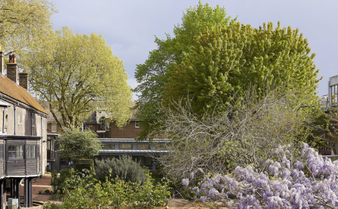A view of gardens with trees.