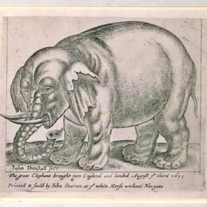 A etching of an elephant in a white frame, at the bottom of the print are the words "The great elephant brought into england and landed August ye third 1675"