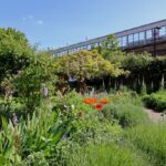 A garden filled with greenery and flowers and a small brick path. In the background is an overground train station.