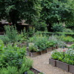 A garden with multiple raised beds and paths, with numerous plants, including flowers and shrubs.