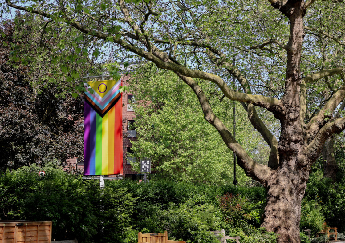 A tall Progress Pride flag is hanging vertically from a lamp post among lush green trees.