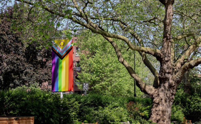 A tall Progress Pride flag is hanging vertically from a lamp post among lush green trees.