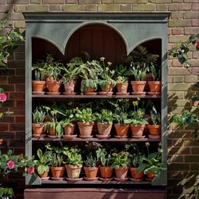 Three shelves of potted plants sit against a brick wall, with roses growing on either side.