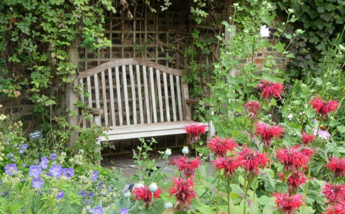 Wooden garden bench surrounded by lush greenery, red spiky flowers, and purple blooms in a cottage garden setting