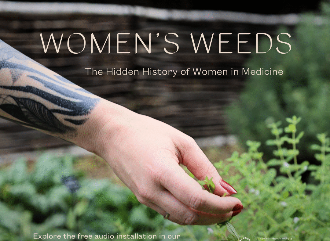 A close-up of a tattooed arm with red painted nails gently holding a part of green herb in a lush garden. Overlaid text reads: Women's weeds - The hidden history of women in medicine. Another text on the bottom left corner that reads: Explore the free audio installation in our Gardens Through Time with Arts Council England credit on the right bottom corner.