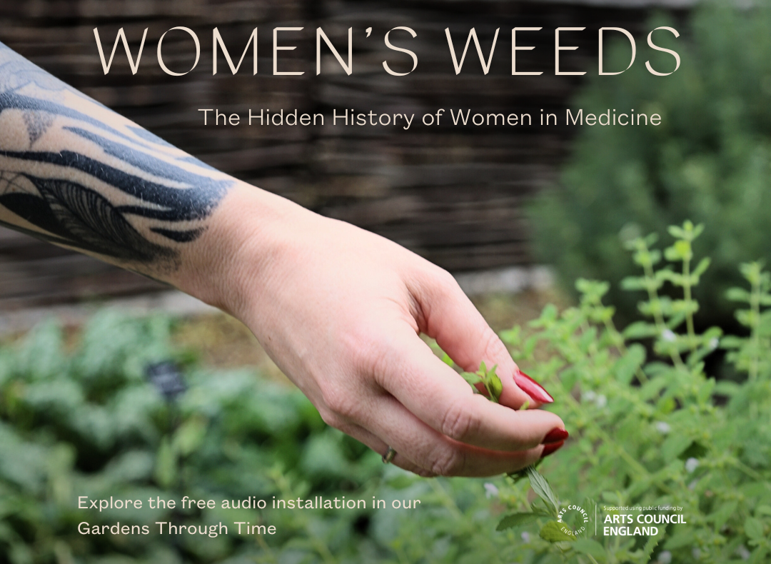 A close-up of a tattooed arm with red painted nails gently holding a part of green herb in a lush garden. Overlaid text reads: Women's weeds - The hidden history of women in medicine. Another text on the bottom left corner that reads: Explore the free audio installation in our Gardens Through Time with Arts Council England credit on the right bottom corner.