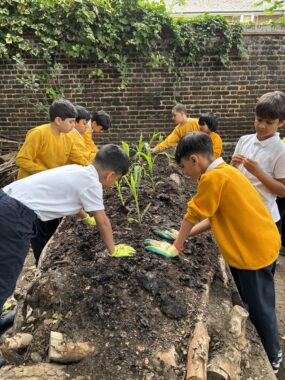 A group of children in yellow and white uniforms plant seedlings into a raised soil bed, working together with gloved hands in an enclosed outdoor garden space.