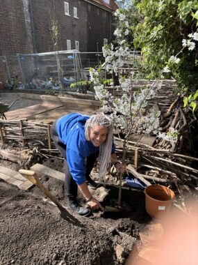 A smiling adult in a blue jumper crouches as they plant a flowering sapling in a garden bed, surrounded by logs and tools.