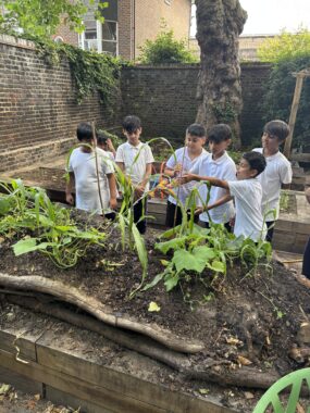 A group of schoolchildren in white shirts inspect tall green plants growing in a raised garden bed made of soil and logs, surrounded by wooden planters.
