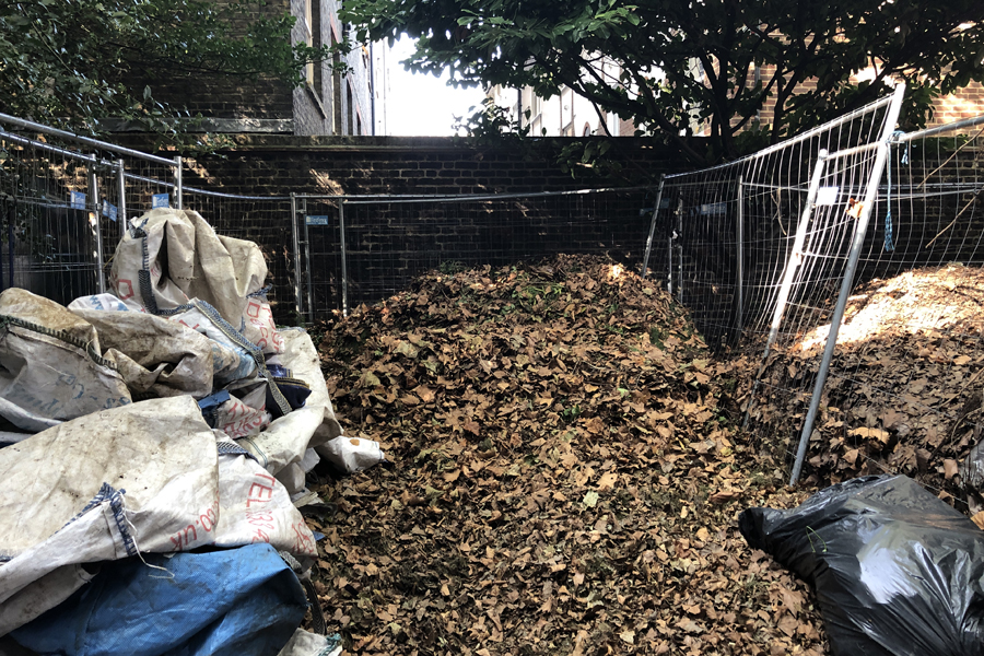 Plane tree leaves piled up in a compost bin