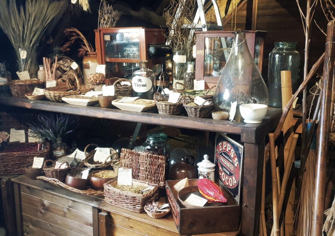 Labelled herbs sit on shelves