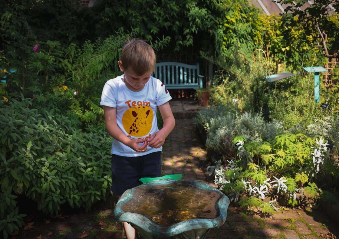 A boy in a white shirt stands near a small fountain that is not on, surrounded by lush green plants and a wooden bench in a garden setting.